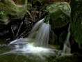 /album/priroda/a20120810-0362-1-jpg/
